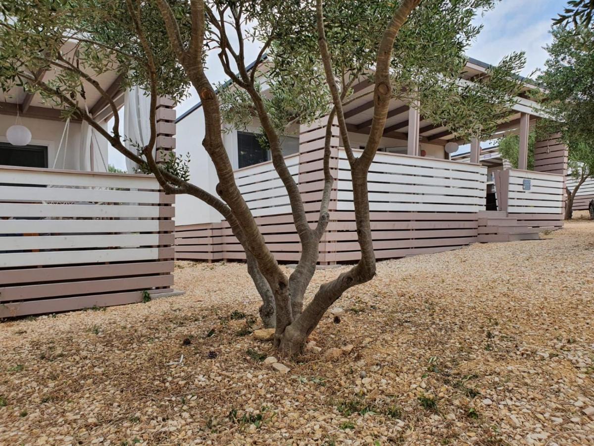 Mobile Home M&M Drage Exterior photo